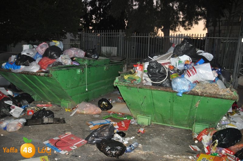 trash lud 907 (9).JPG